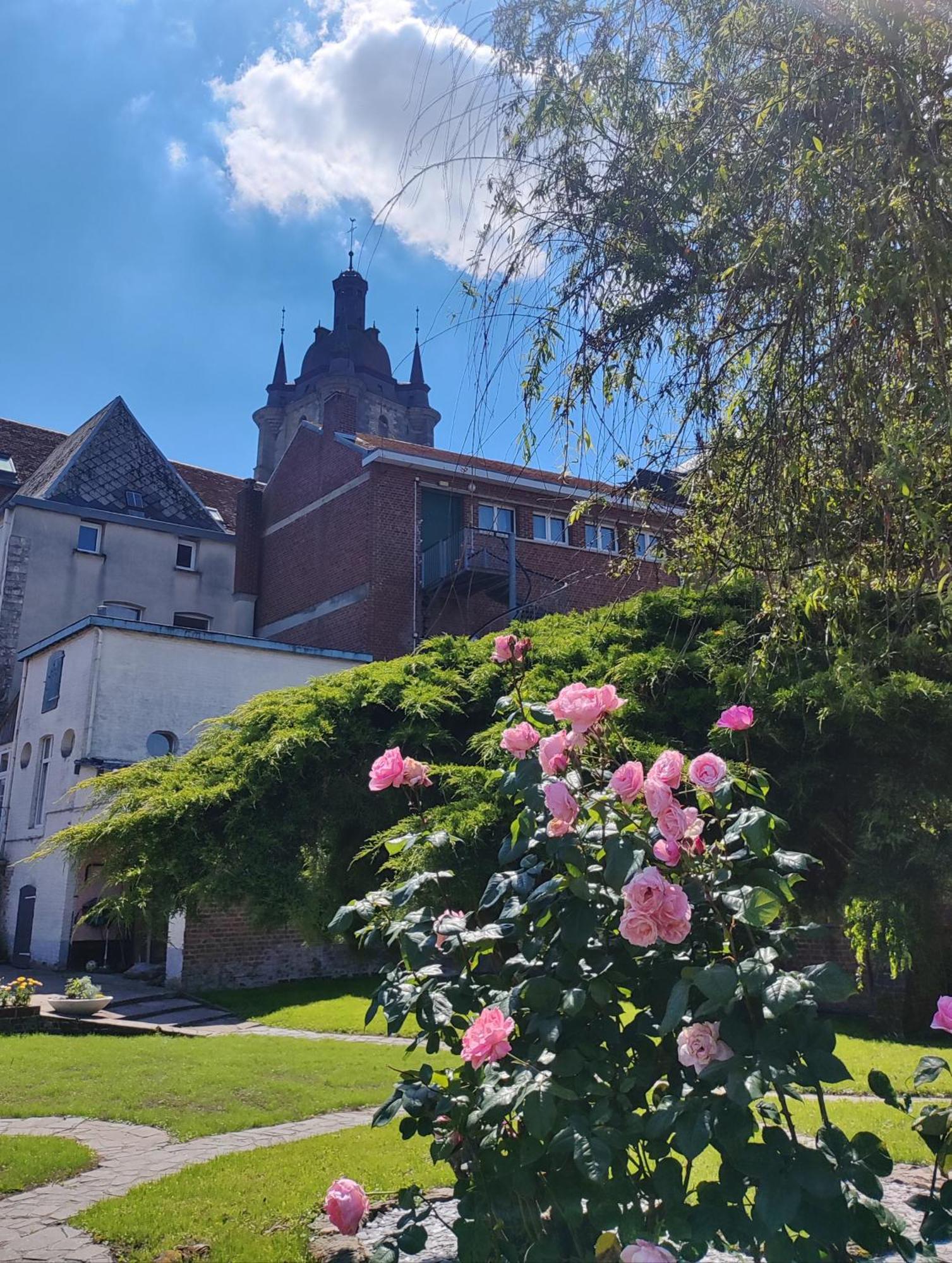 Le Relais Napoleon Acomodação com café da manhã Avesnes-sur-Helpe Exterior foto