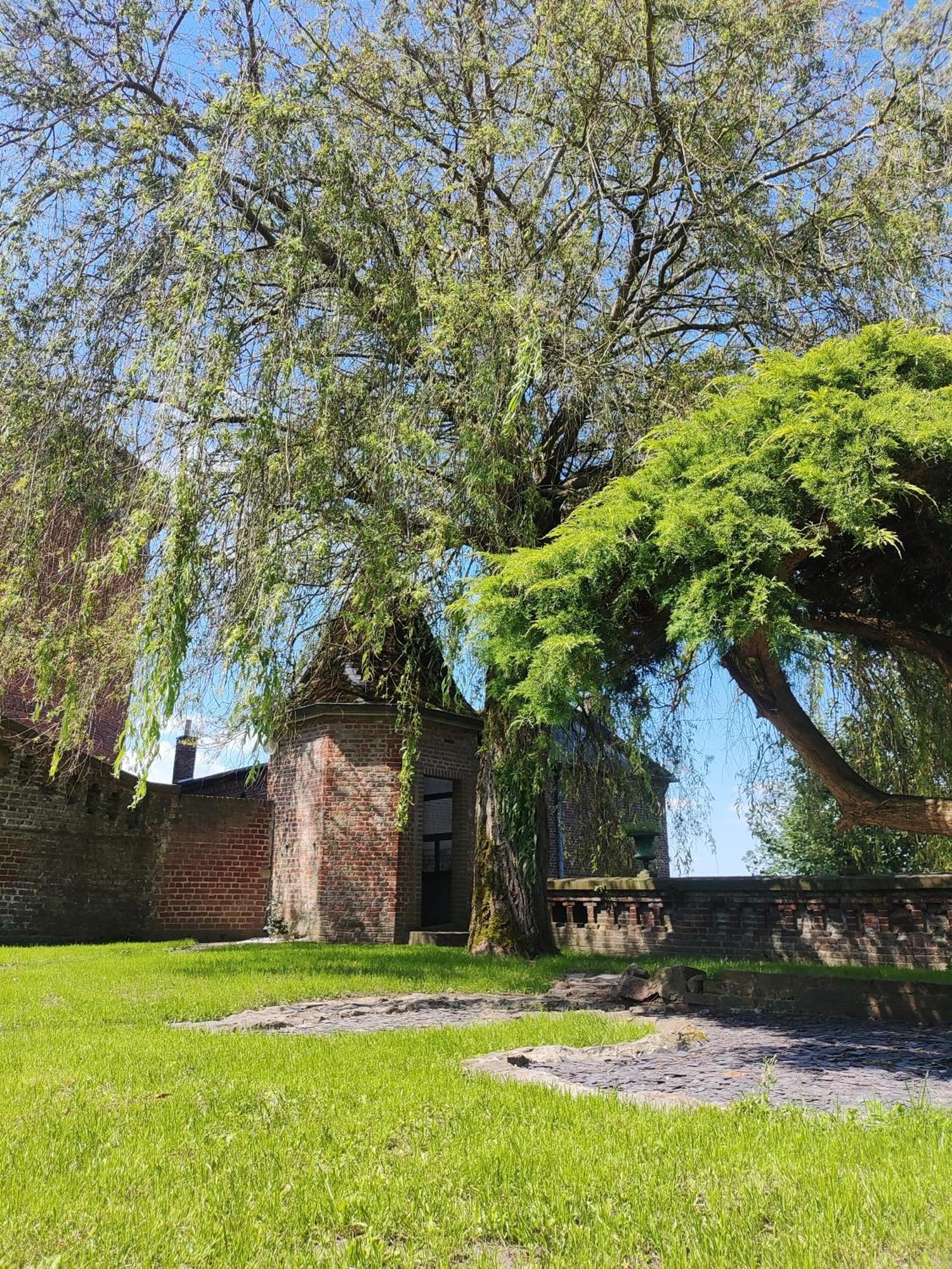Le Relais Napoleon Acomodação com café da manhã Avesnes-sur-Helpe Exterior foto